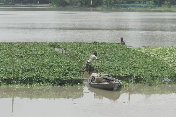 সবজি-চাষে-লাভের-স্বপ্ন-ভেসে-যাচ্ছে-বৃষ্টিতে