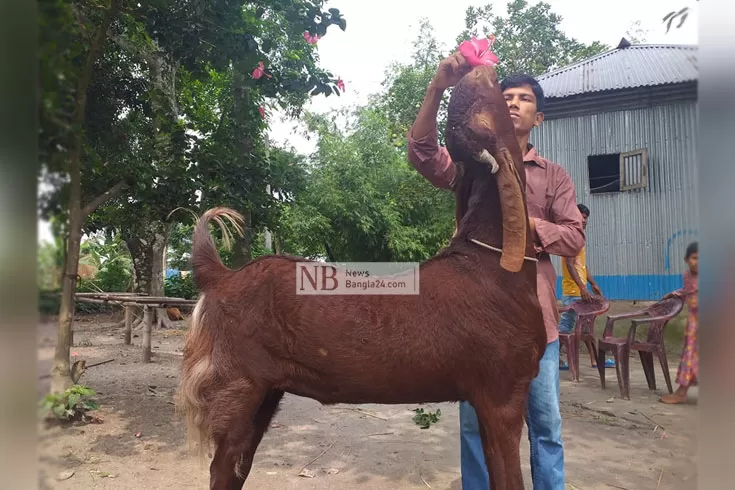 রতনের-খাসি-লাখ-টাকা