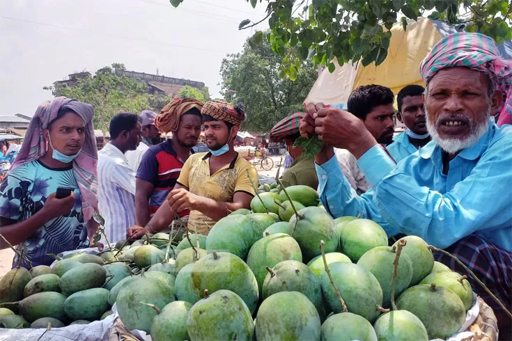 আমের-রাজ্যে-হাসি-নেই-এবার