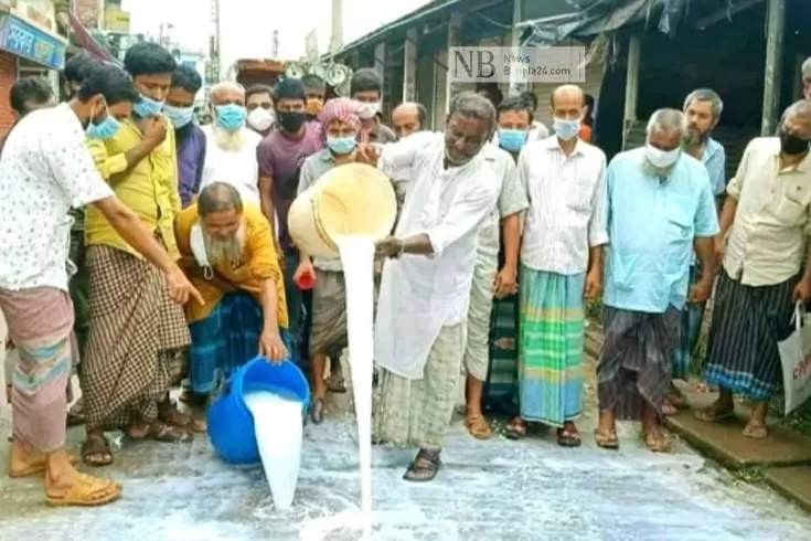 ক্রেতা নেই, রাস্তায় দুধ ফেলে খামারির প্রতিবাদ