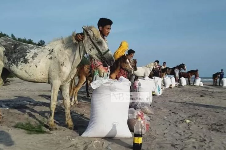 সৈকতের ঘোড়ার দায়িত্ব নিলেন ব্যারিস্টার নাঈম