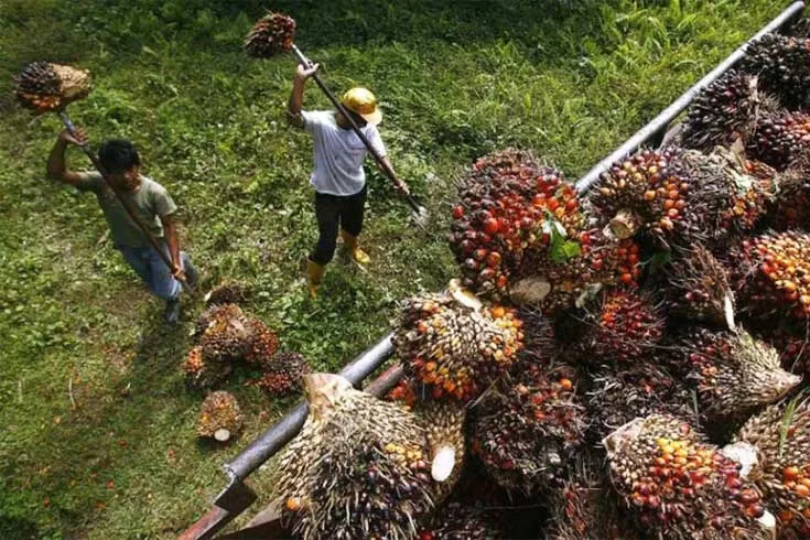 মালয়েশিয়ায়-বৈধ-হচ্ছেন-এক-লাখ-বাংলাদেশি