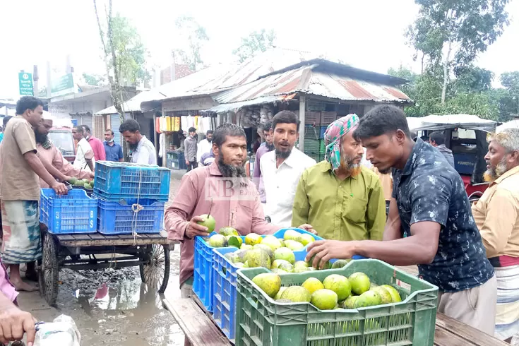 কপাল-খুলল-হাঁড়িভাঙ্গা-আম-চাষিদের