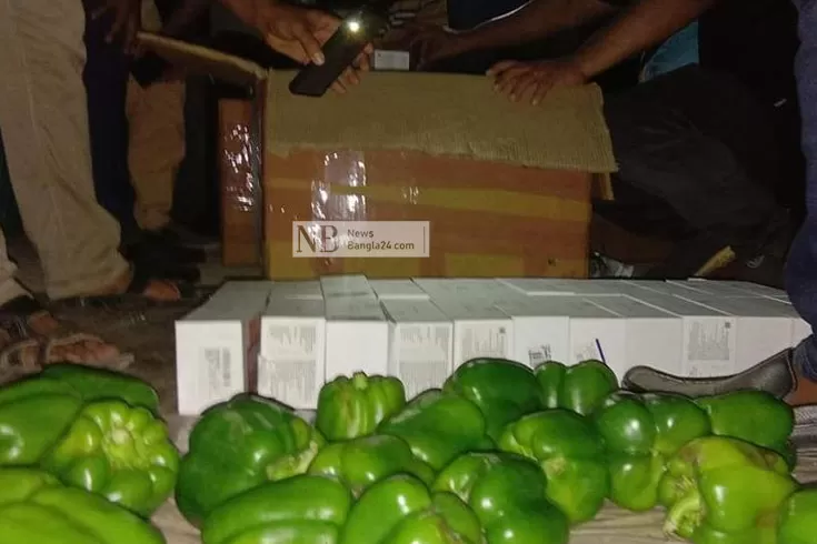 ক্যাপসিকামের-বদলে-এলো-ওষুধ-সিগারেট-মোবাইল