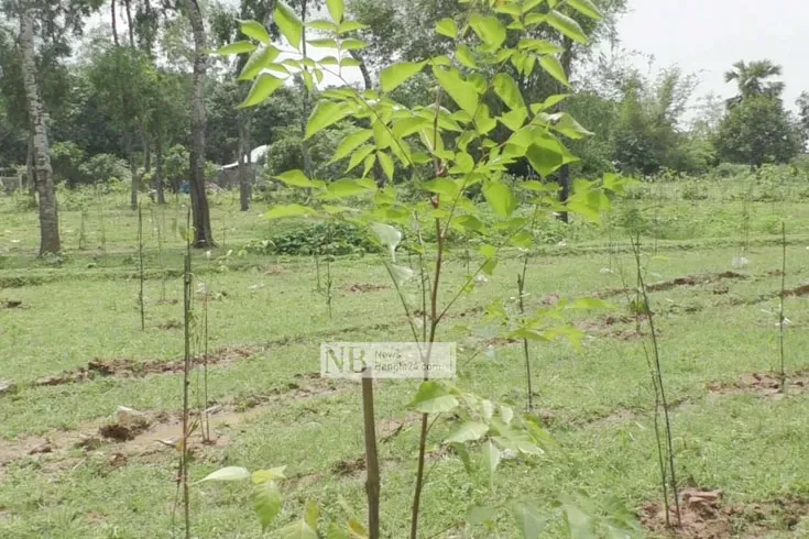 বনের-জমি-উদ্ধার-করলেন-এমপি