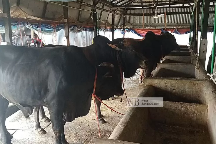 নেইমার, সম্রাট বাবুদের নিয়ে বিপাকে মালিকরা