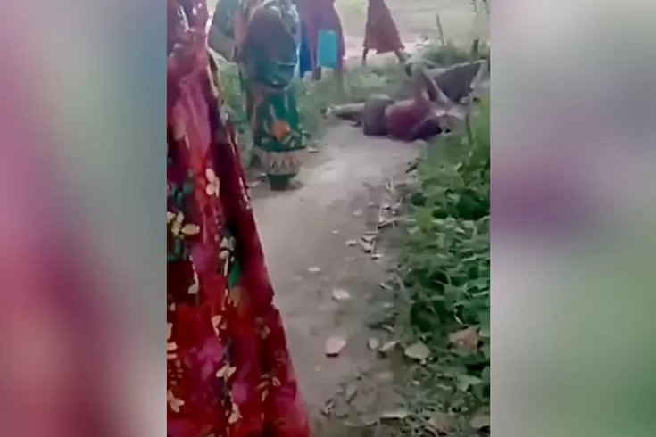 জমি-নিয়ে-বিরোধে-বৃদ্ধ-বাবা-মাকে-পেটালেন-ছেলে 