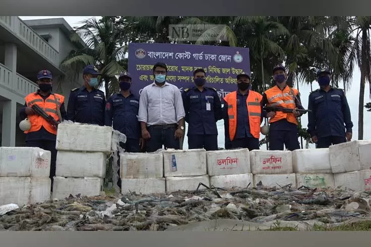জেলি মেশানো ৩৫ মণ চিংড়ি জব্দ