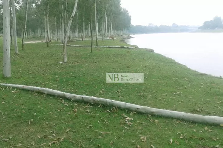 টেন্ডার ছাড়াই পৌর পার্কের গাছ কাটছেন ‘কাউন্সিলর’