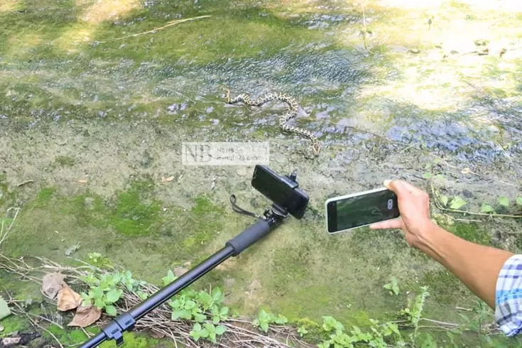 খাঁচা-ছেড়ে-বনে-গেল-২৮-অজগর-ছানা