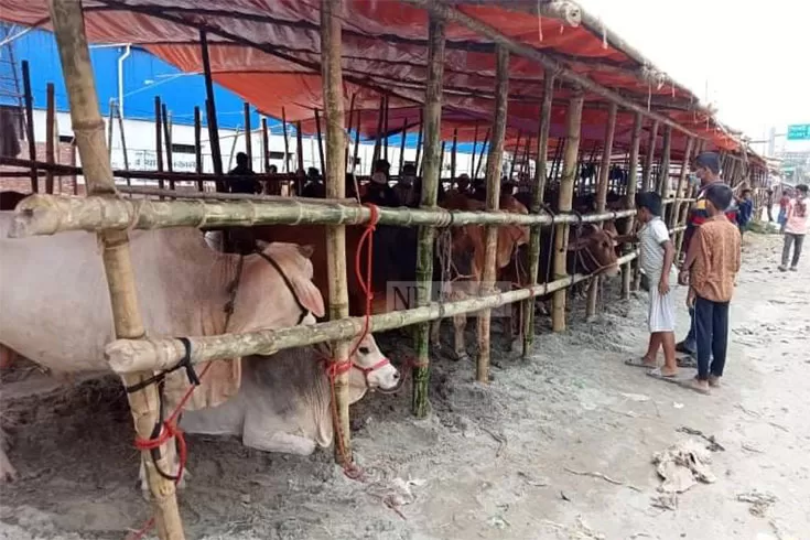 পশুর-হাটে-জাল-নোট-শনাক্তে-মেশিন-রাখার-নির্দেশ