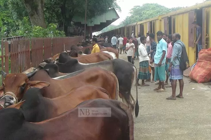 ‘এহন আর ঘাটত ঘাটত চান্দা দিওন লাগবো না’