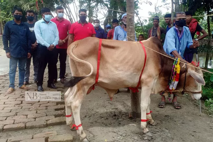 ভিক্ষুক-পুনর্বাসন-কেন্দ্রে-কোরবানির-গরু-দিলেন-ইউপি-চেয়ারম্যান