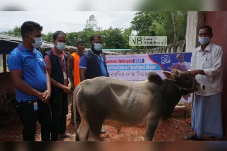 কোরবানির জন্য ২৪ রোহিঙ্গা ক্যাম্পে আড়াই হাজার পশু