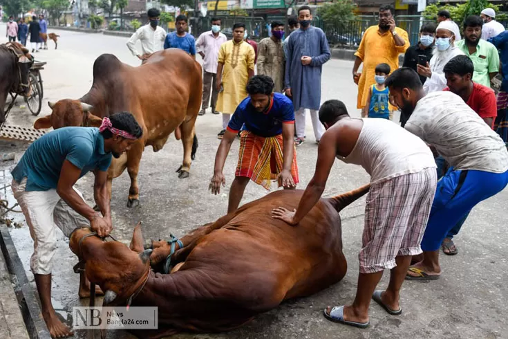 এক দিনের ‘কসাই’ তারা