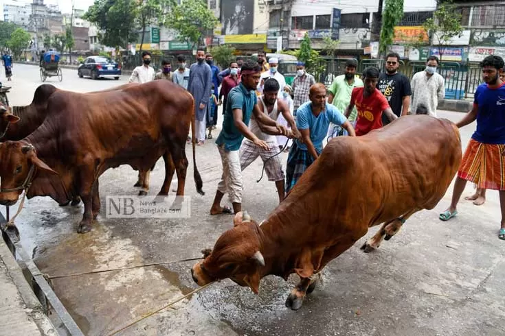 ‘উচ্ছ্বাস যেন উদাসীন করে না তোলে’
