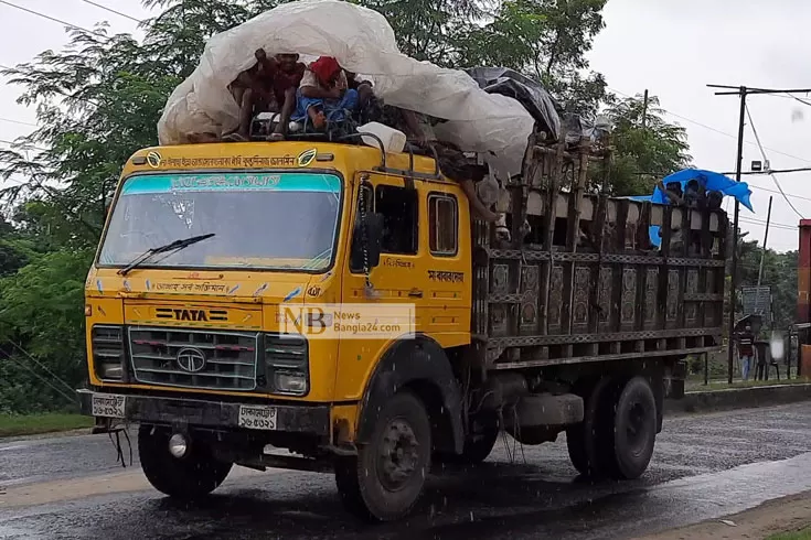 বেচা হলো না গরু, কষ্ট বৃথা, ট্রাক ভাড়াটা লোকসান