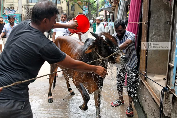 ত্যাগের মহিমায় এলো খুশির ঈদ