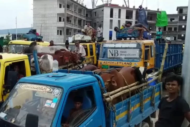 ঈদের-দিনেও-শিমুলিয়ায়-গাড়ির-দীর্ঘ-লাইন