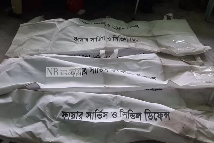 ঘরের-চালে-বিদ্যুতের-তার-পরিবারের-২-জনের-মৃত্যু-আহত-২