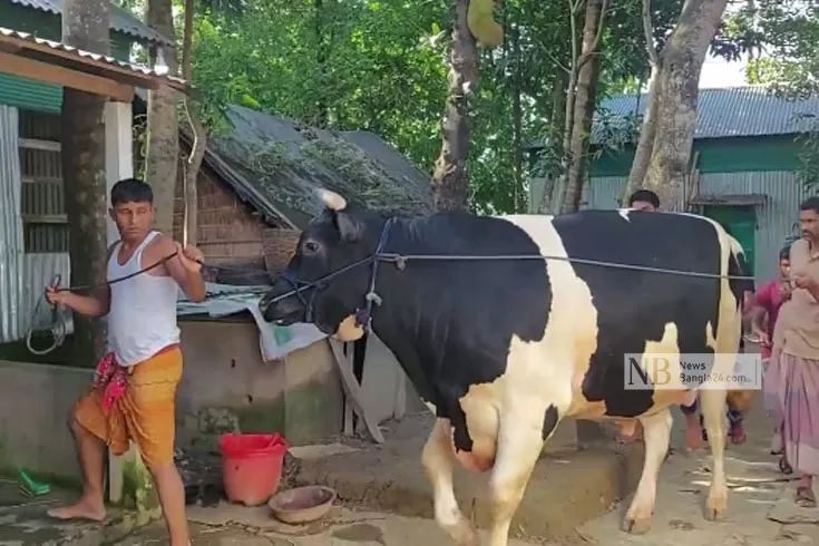 সুলতানকে-কেউ-কেনেনি