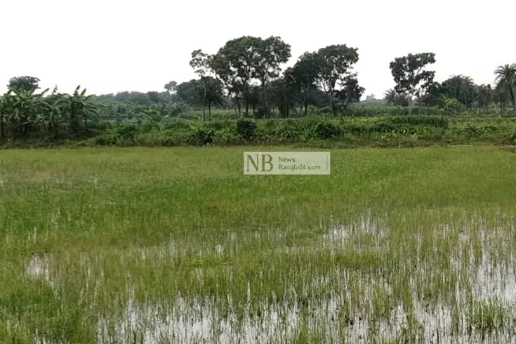 যে গ্রামে ৮০ বছর ধরে মানুষ নেই