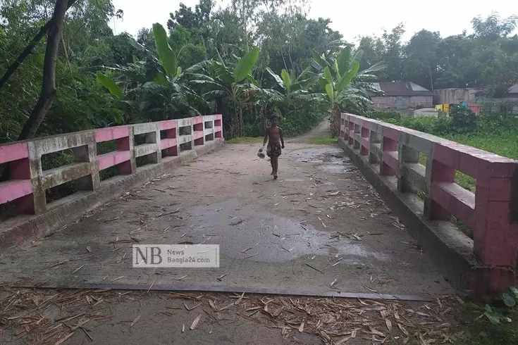 ‘তারা এখন মূল স্রোতের মানুষ’