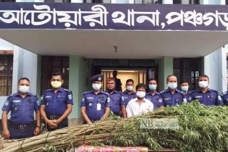 বাড়ির-পাশে-গাঁজা-চাষ-মাদক-কারবারি-কারাগারে