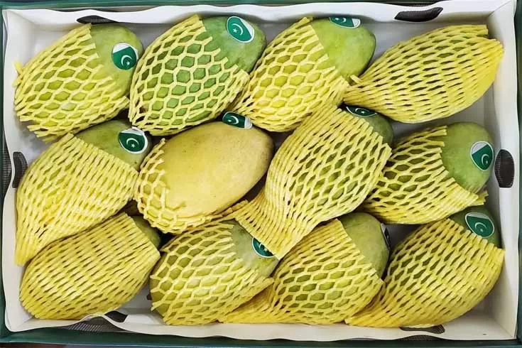 এবার-শেখ-হাসিনাকে-আম-পাঠাল-পাকিস্তান