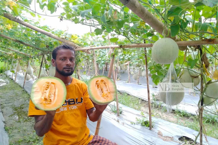 এবার-ইউটিউব-দেখে-চাষ-করলেন-মরুভূমির-সাম্মাম