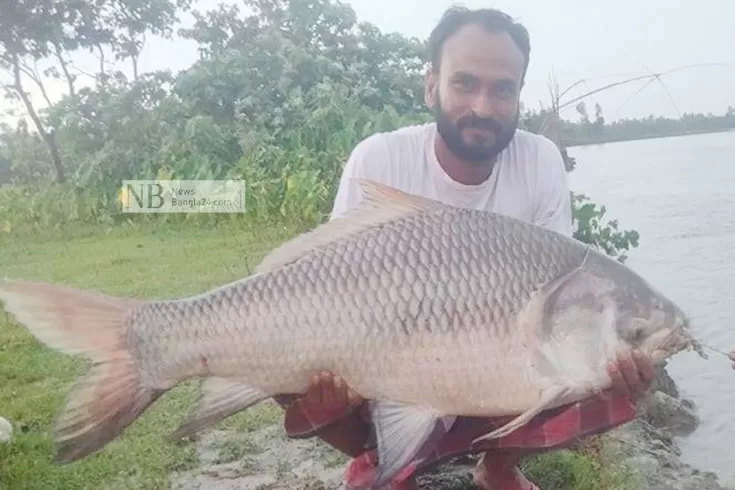 বড়শিতে ধরা পড়ল ১৬ কেজির কাতল