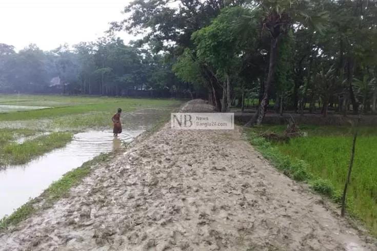 কর্মসৃজন-প্রকল্পে-শ্রমিকের-ভৌতিক-তালিকা