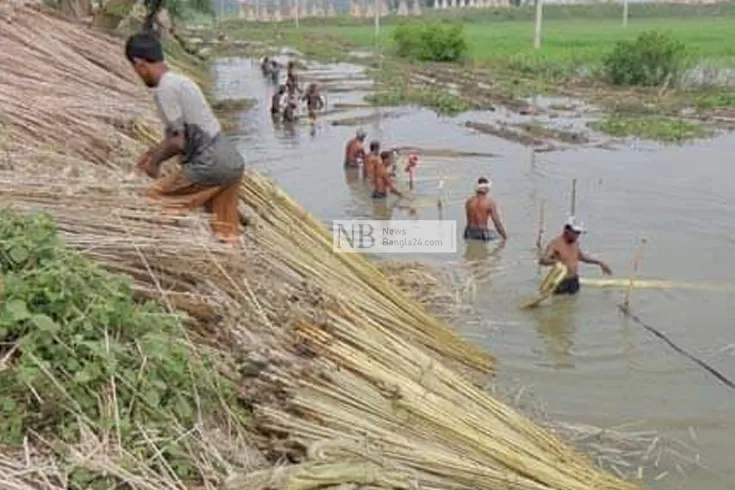 পাট জাগ দিতে লাগছে টাকা
