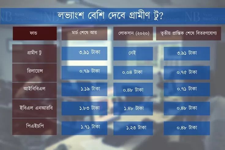 লভ্যাংশ-সবচেয়ে-বেশি-আসতে-পারে-গ্রামীণ-টুর
