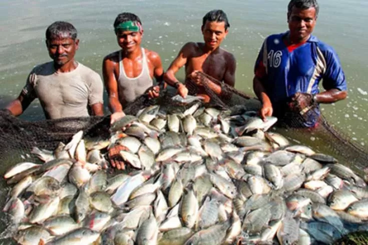 ‘বেশি বেশি মাছ চাষ করি, বেকারত্ব দূর করি’