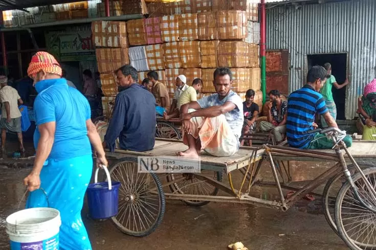 ইলিশ নেই মোকামে