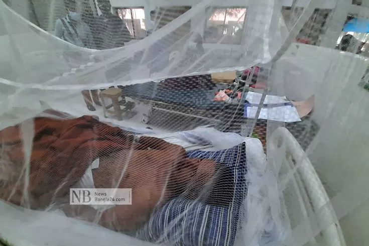 ডেঙ্গু-বাড়ছে-১২-দিনে-শনাক্ত-আড়াই-হাজারের-বেশি