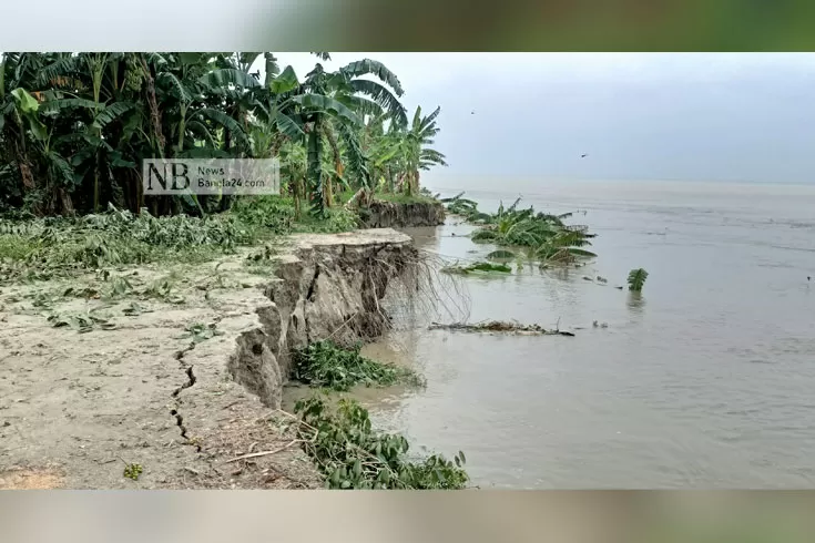 ভাঙনে দিশেহারা পদ্মার চরাঞ্চলের মানুষ