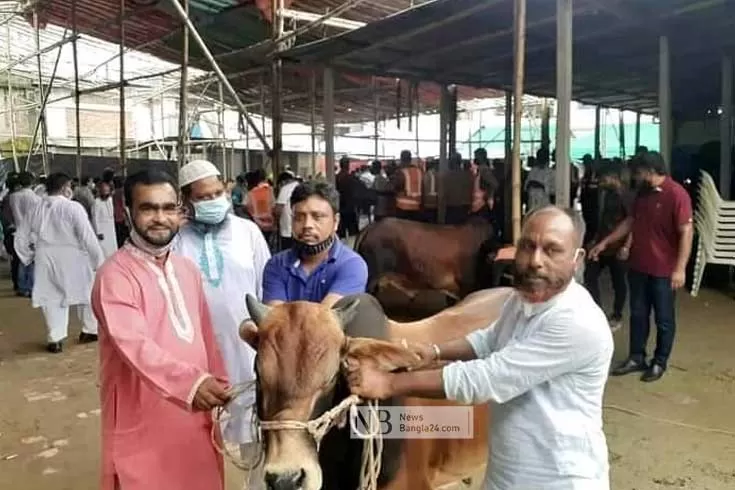 গাজীপুরের মেয়রের শতাধিক গরু বিতরণ