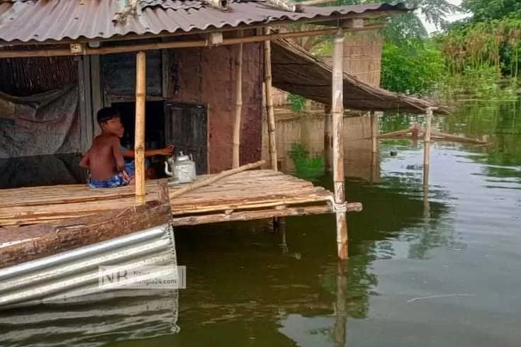 পদ্মায়-বাড়ছে-পানি-কুষ্টিয়ায়-১৭-গ্রাম-প্লাবিত