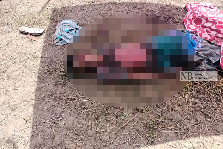 ট্রাক্টরের-ফলায়-প্রাণ-গেল-কিশোরের