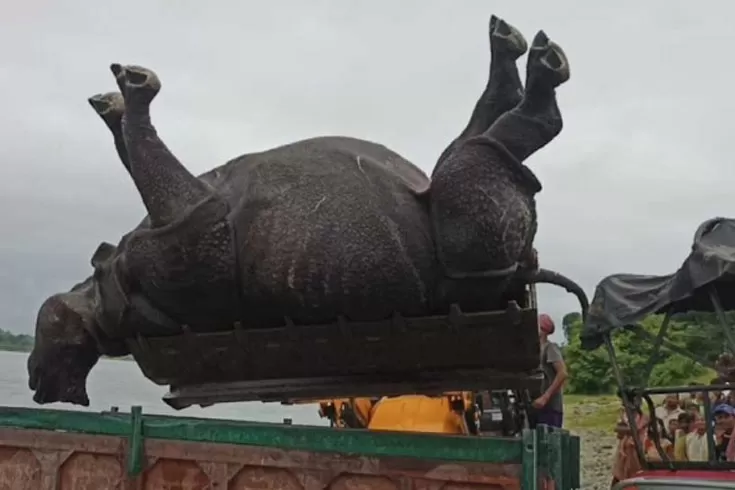 নদী থেকে মৃত গন্ডার উদ্ধার, তদন্তে বনদপ্তর 