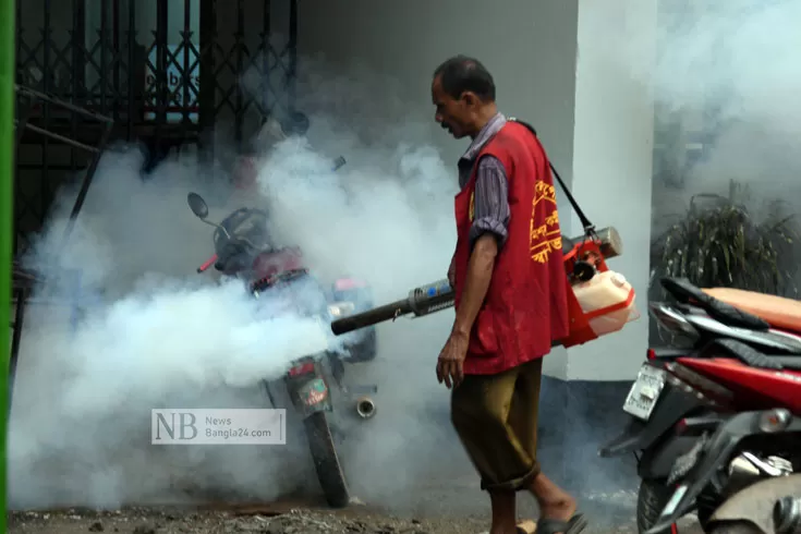 এডিস মশার ঘনত্ব গত মহামারির চেয়ে বেশি