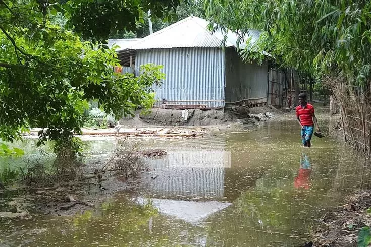 ধরলার-পানি-বৃদ্ধিতে-বিপাকে-চাষিরা