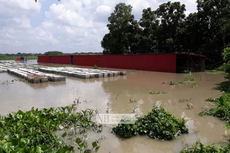 পদ্মায়-পানি-বৃদ্ধি-অব্যাহত-ফেরি-চলাচল-ব্যাহত