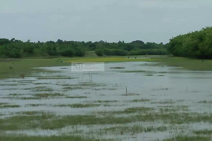 নদী খননের টাকা জলে