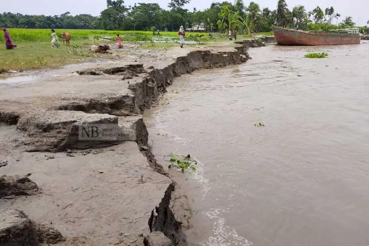 মেঘনার ৪০০ মিটার বিলীন ১০ দিনে 