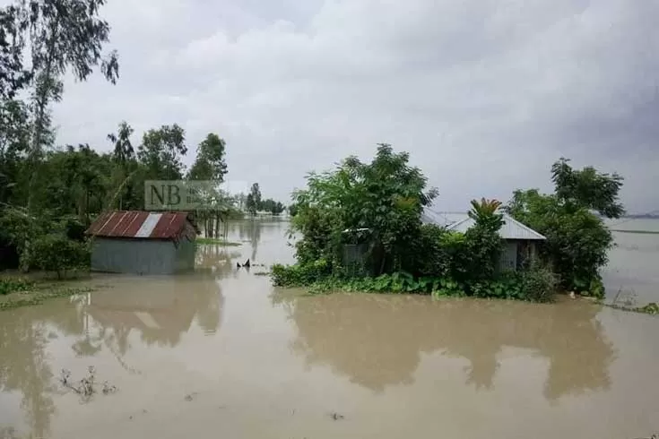 বৃষ্টিতে ফের আতঙ্ক তিস্তাপাড়ে