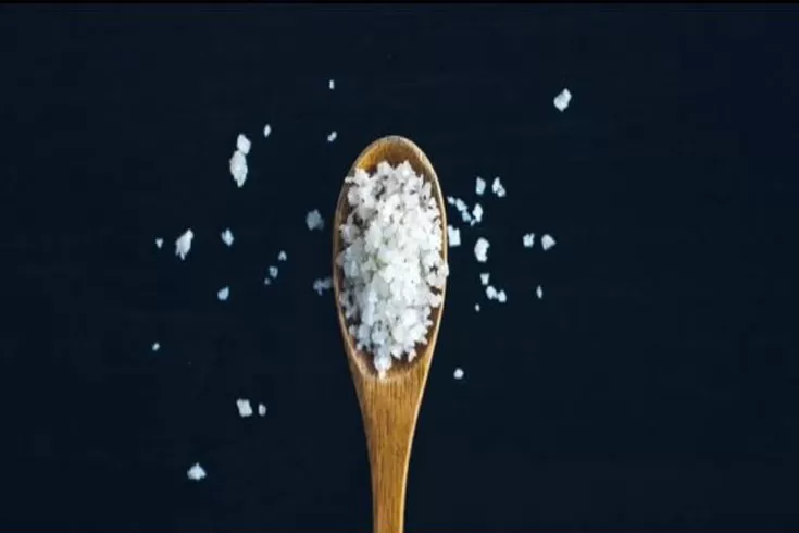 লবণের-বিকল্পে-বাঁচবে-প্রাণ