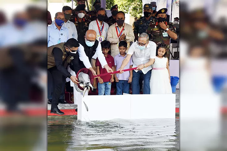 দেশীয়-মাছ-সংরক্ষণে-রাষ্ট্রপতির-তাগিদ